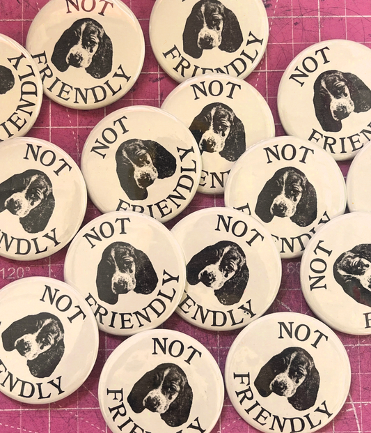 NOT FRIENDLY large pin